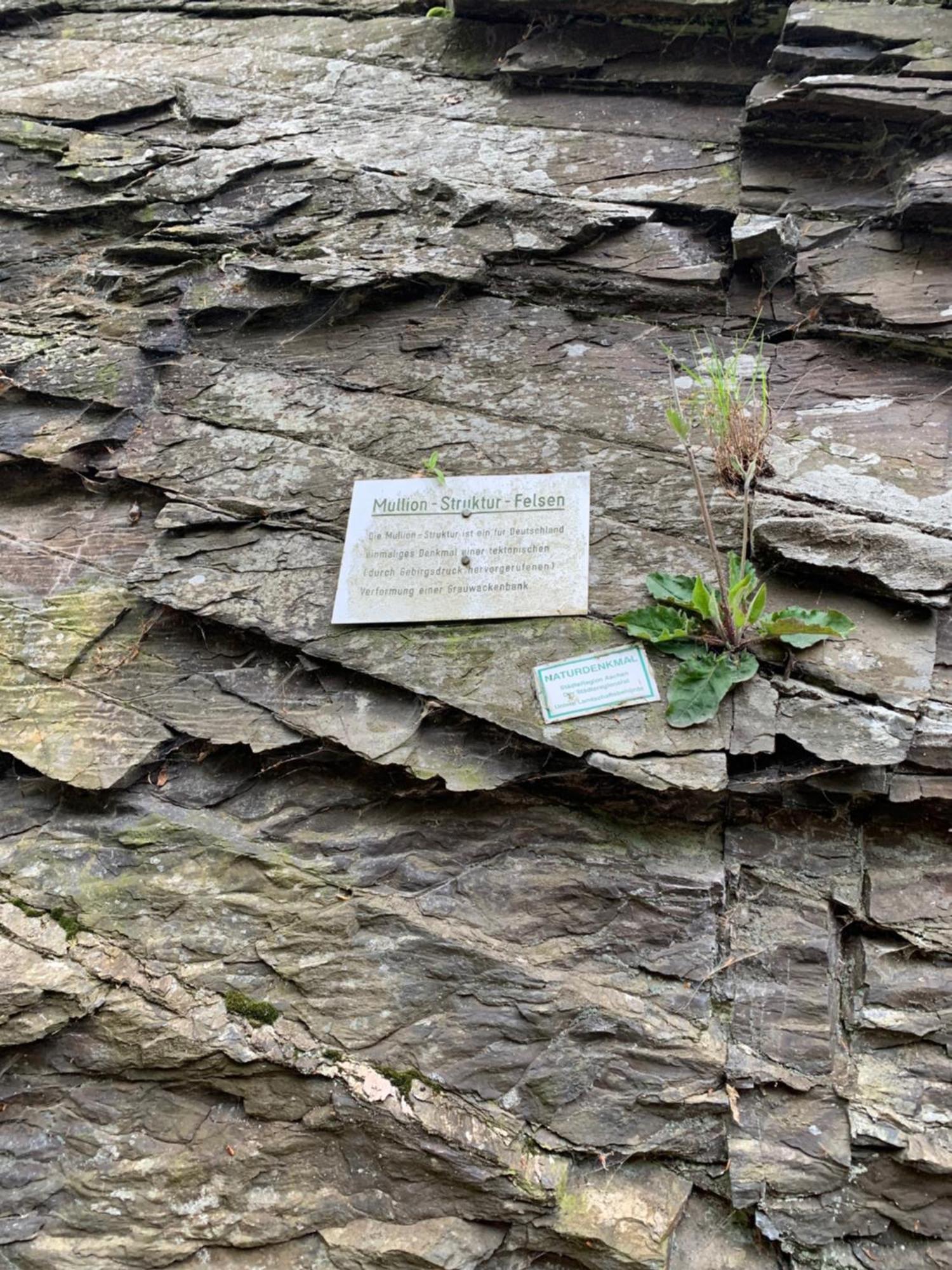 Berg Blick Eifler Bauernhaus Modern Restauriert Simmerath Zewnętrze zdjęcie