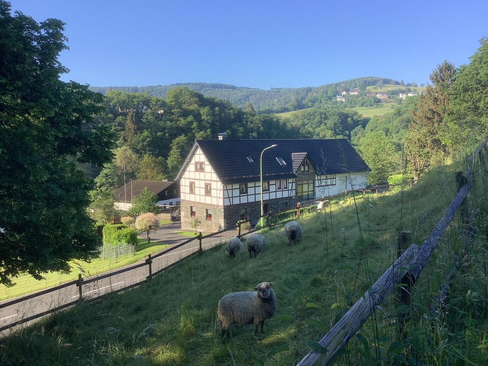 Berg Blick Eifler Bauernhaus Modern Restauriert Simmerath Zewnętrze zdjęcie