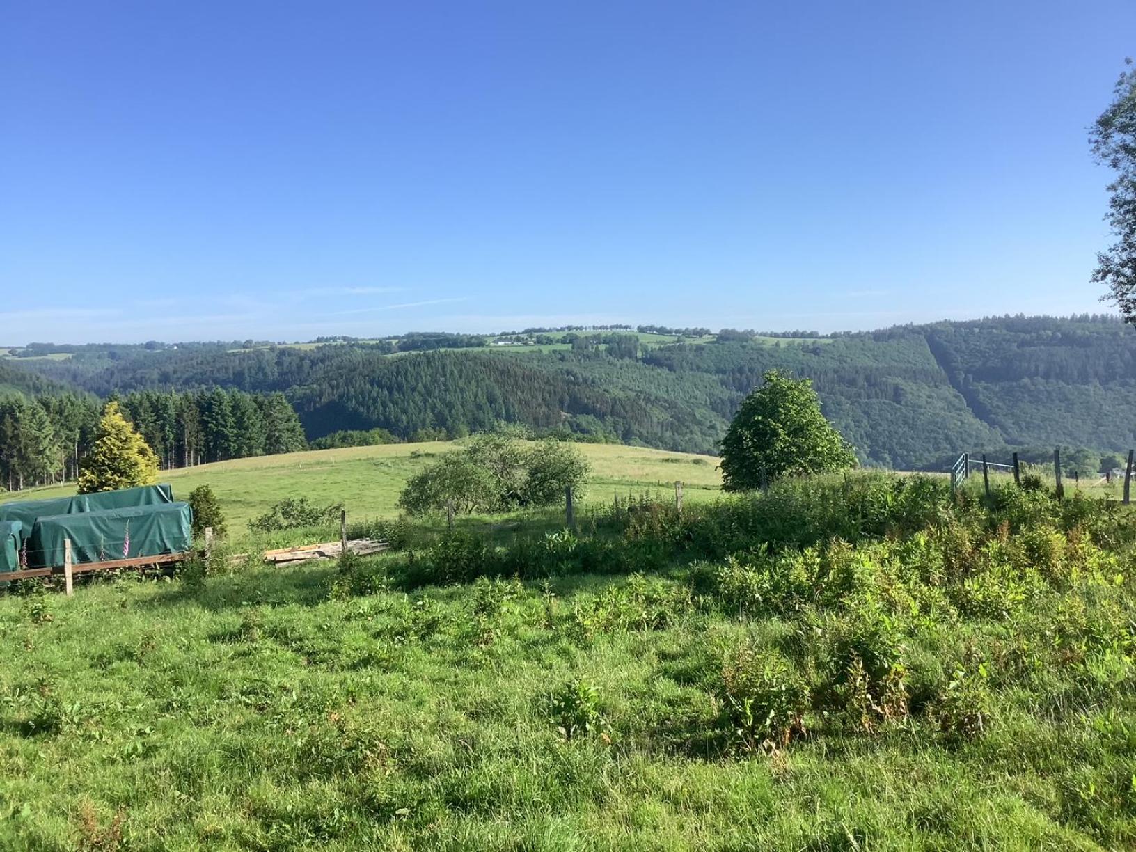 Berg Blick Eifler Bauernhaus Modern Restauriert Simmerath Zewnętrze zdjęcie